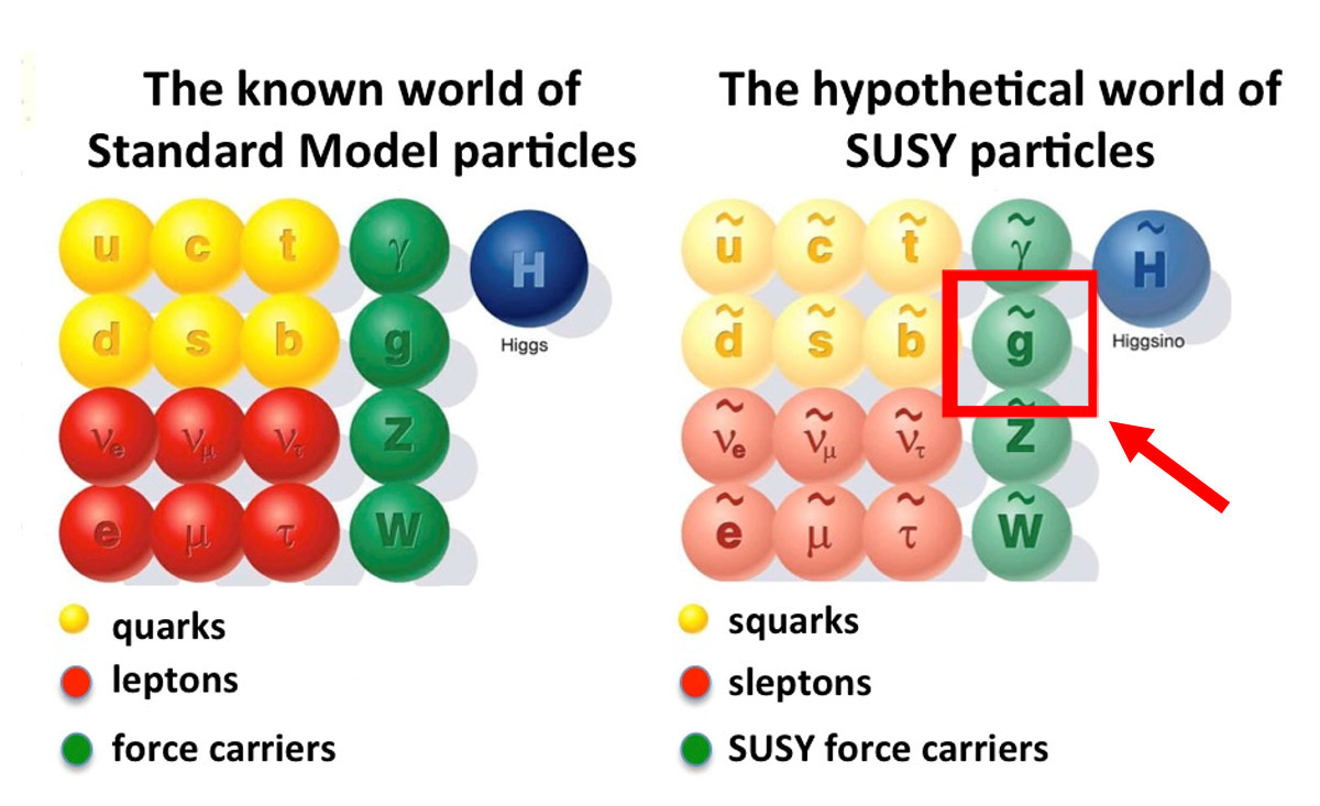 CMS physicists searched for the gluino, the supersymmetric cousin of the gluon. The red box shows where the gluino is listed.