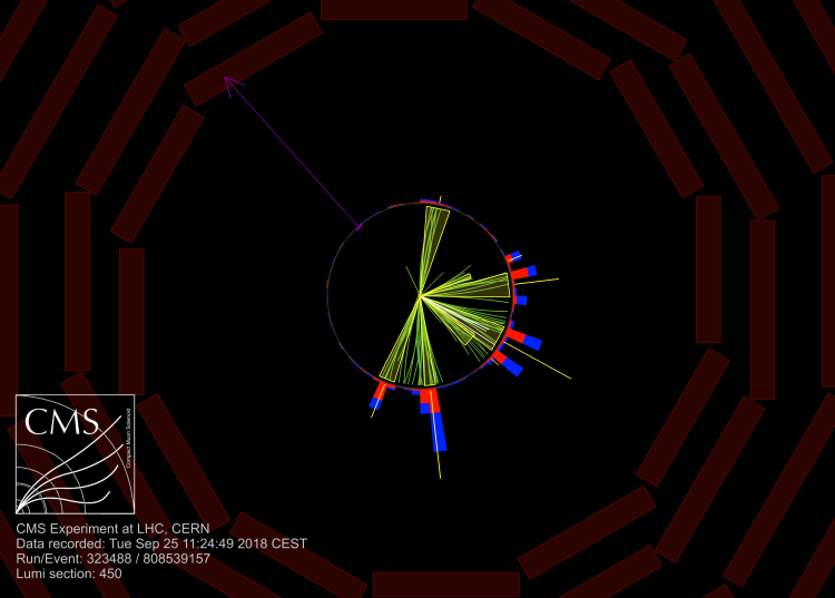 Transverse view of one event collected with the CMS detector in 2018, with large energy from jets and large missing energy. 