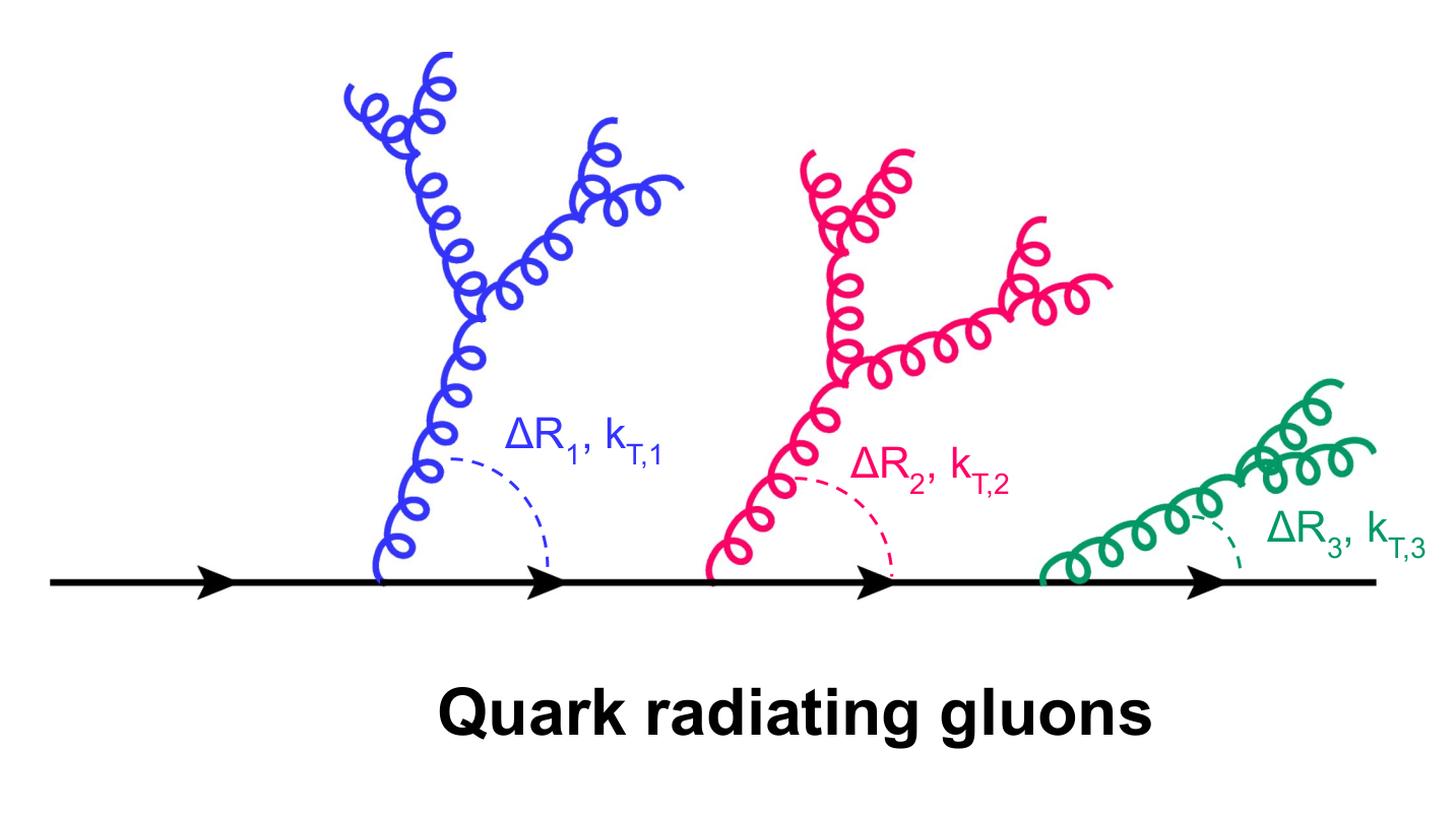 figure 1 left