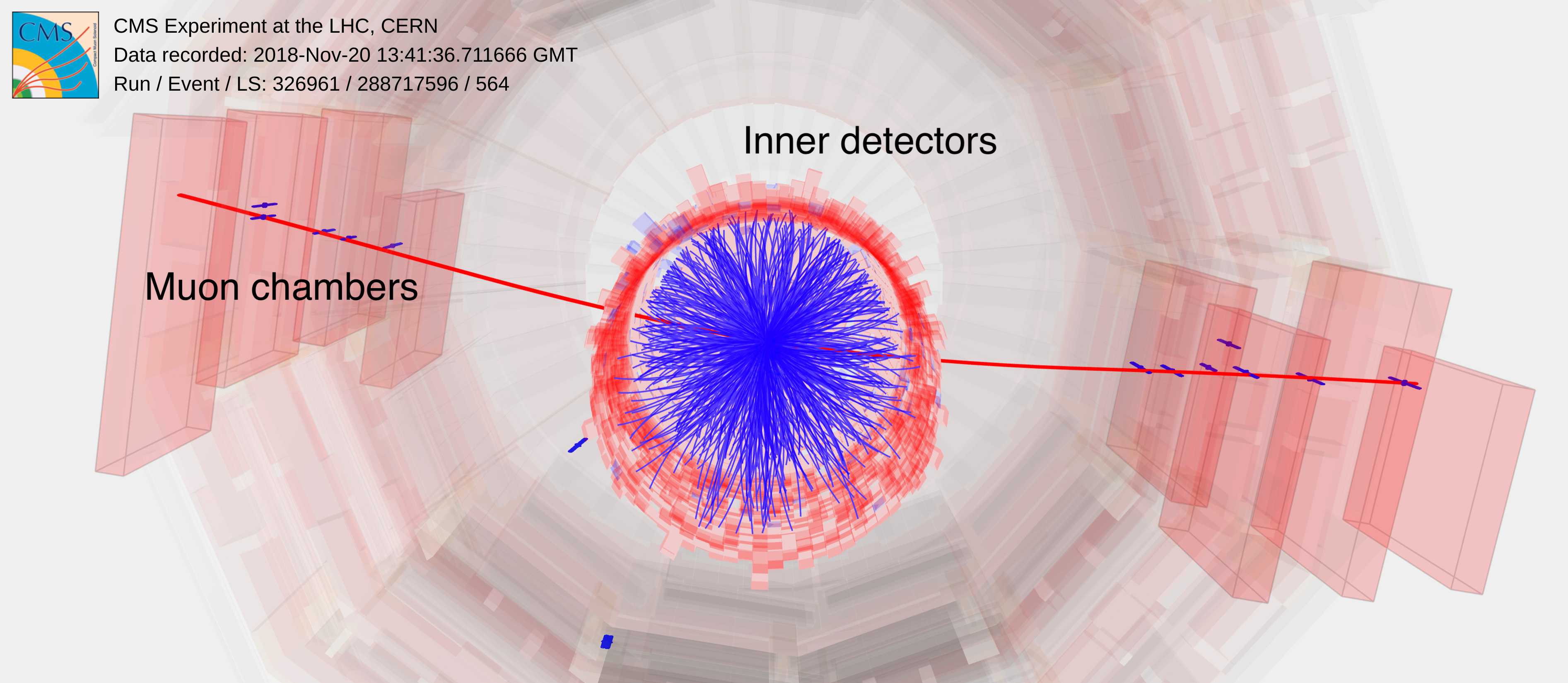 detector image