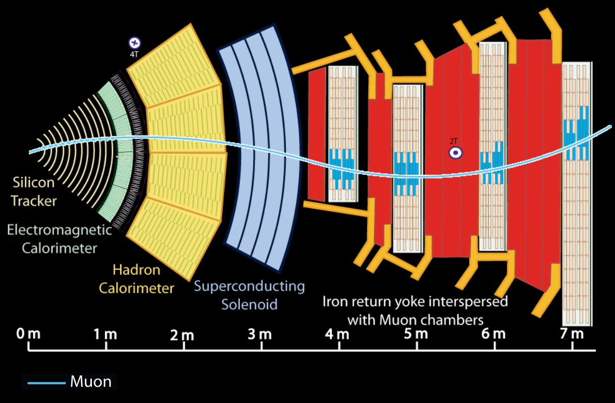 muon passing cms